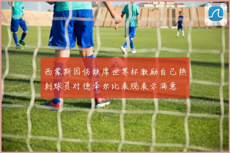 西蒙斯因伤缺席世界杯激励自己热刺球员对德泽尔比表现表示满意