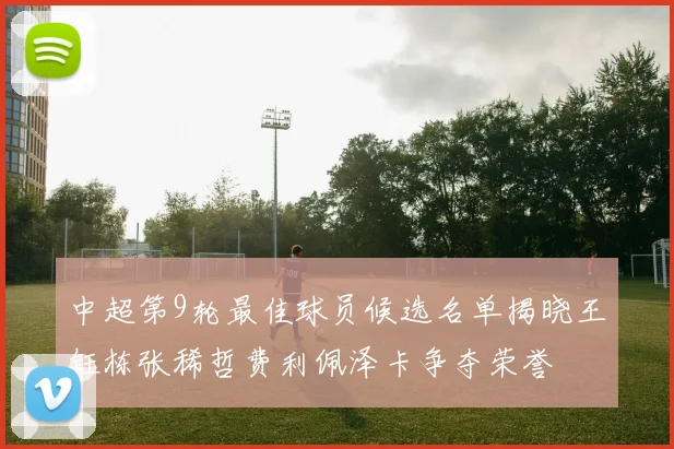 中超第9轮最佳球员候选名单揭晓王钰栋张稀哲费利佩泽卡争夺荣誉