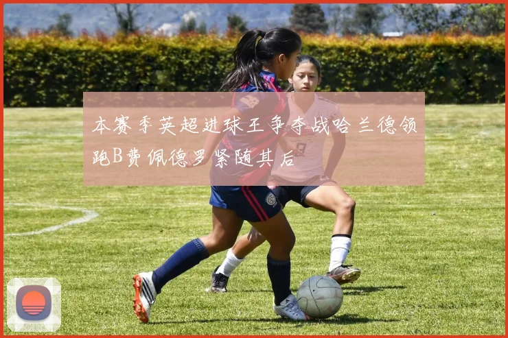 本赛季英超进球王争夺战哈兰德领跑B费佩德罗紧随其后